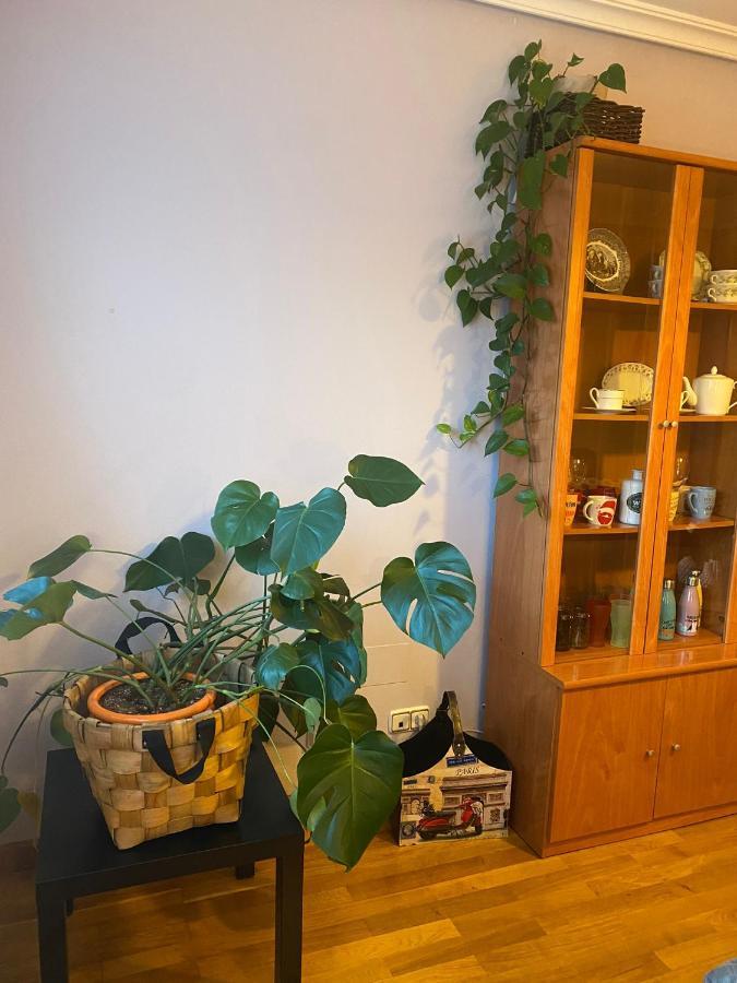 Apartmán Alameda 5 Oviedo Exteriér fotografie
